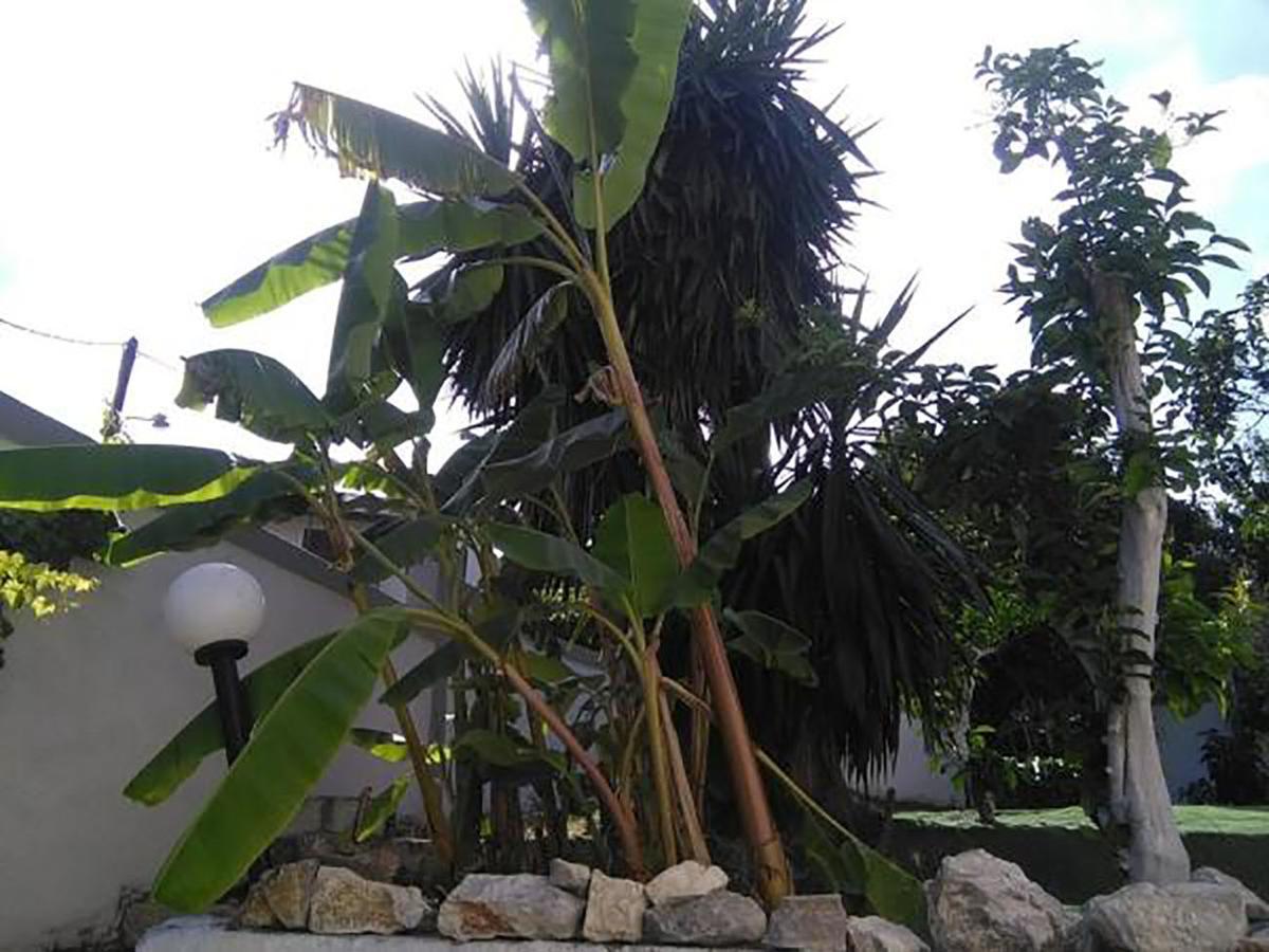 Aragorn Paradise Garden Moraitika Bagian luar foto