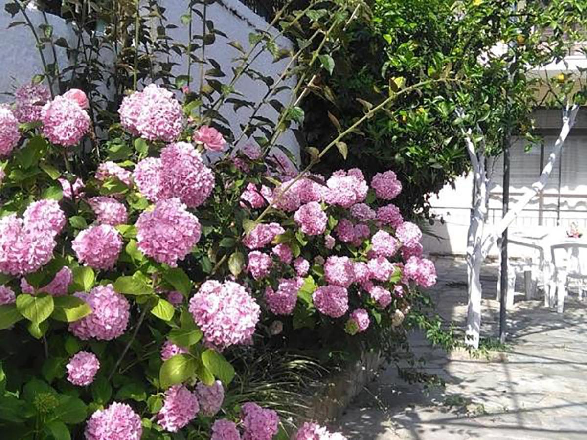 Aragorn Paradise Garden Moraitika Bagian luar foto